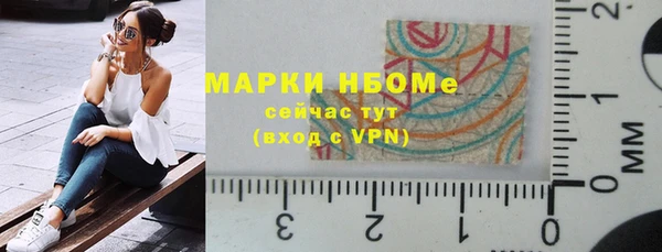 гашик Осинники