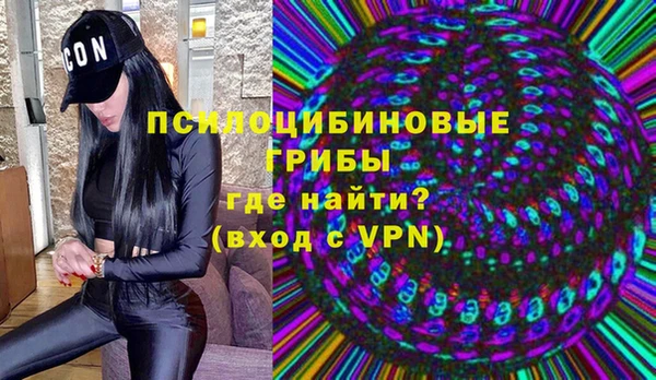 PSILOCYBIN Осташков