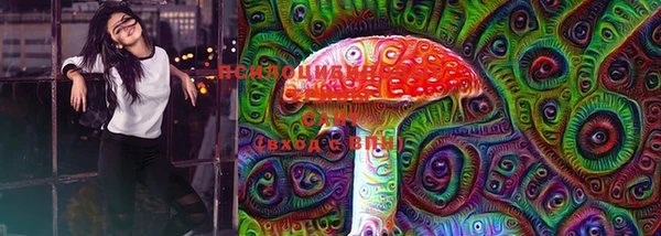 PSILOCYBIN Каменск-Шахтинский