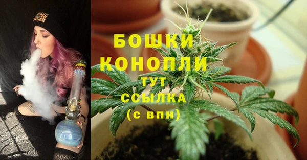 PSILOCYBIN Осташков