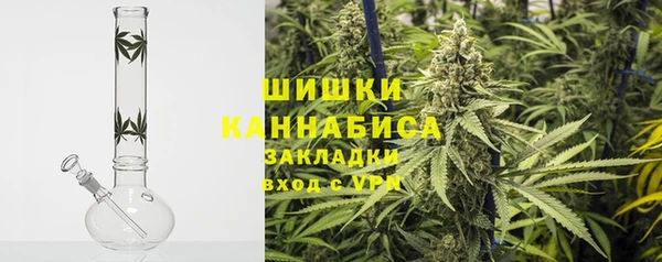 PSILOCYBIN Осташков