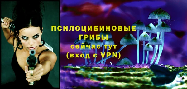 PSILOCYBIN Осташков
