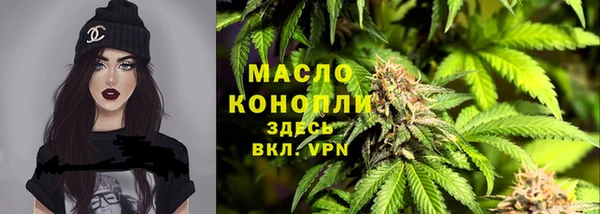 гашик Осинники
