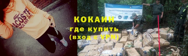 молекула духа Няндома