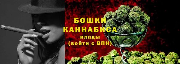 PSILOCYBIN Осташков